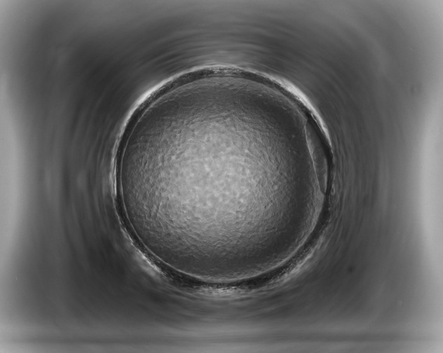 X0000087510791200704271122