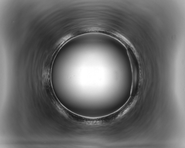 X0000087510793200704271122