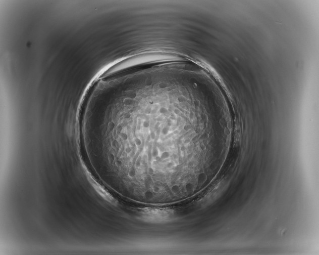 X0000087510795200704271122