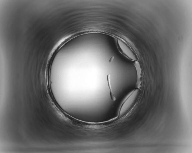 X0000087510796200704271122