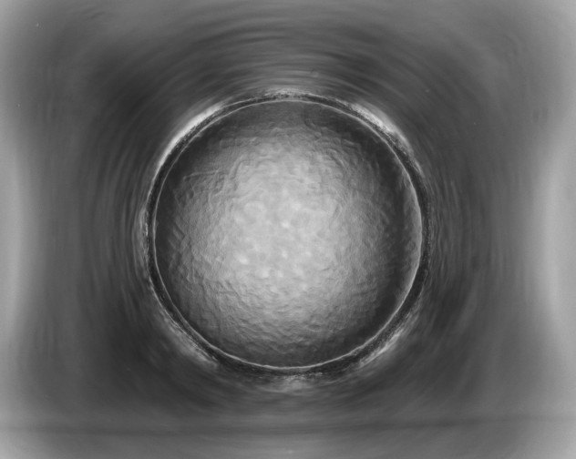 X0000087510798200704271122
