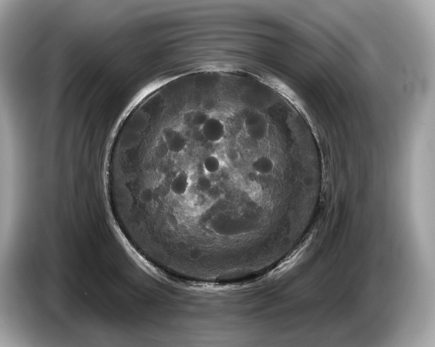X0000087510803200704271122