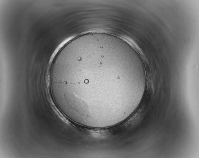 X0000087510804200704271122