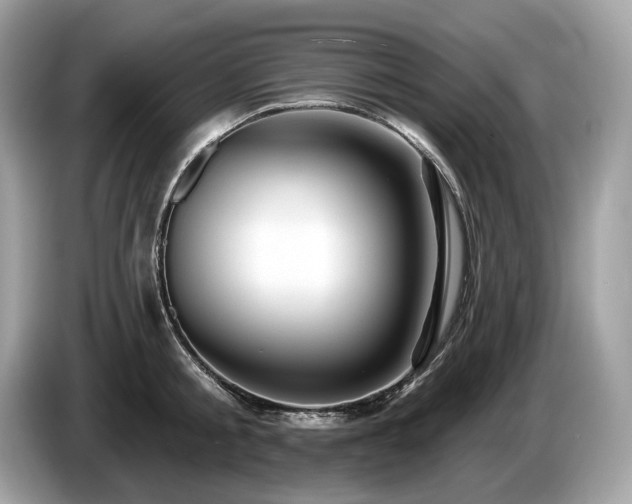 X0000087510805200704271121