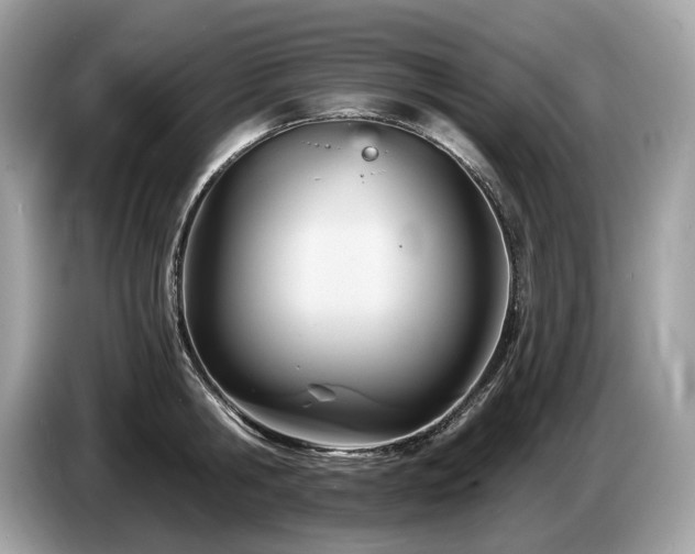 X0000087510806200704271121