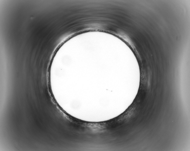 X0000087510807200704271121