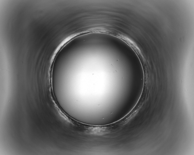X0000087510808200704271121