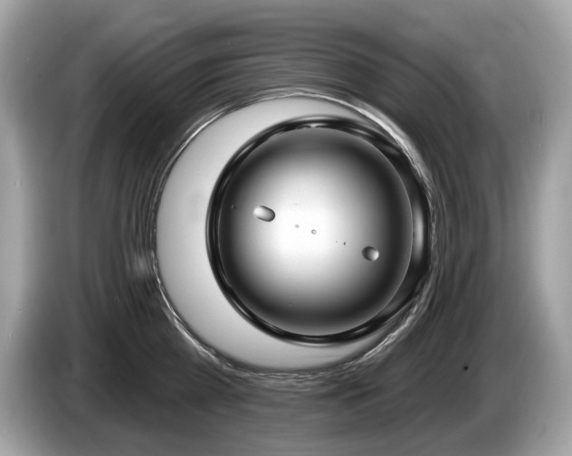 X0000087510809200704271121