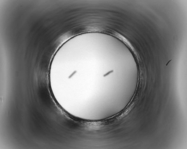 X0000087510810200704271121