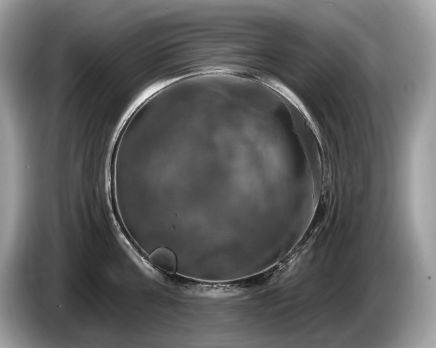 X0000087510811200704271121