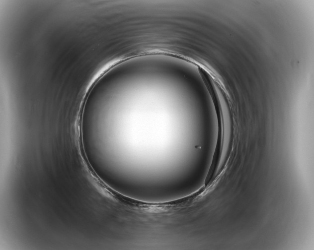 X0000087510814200704271121