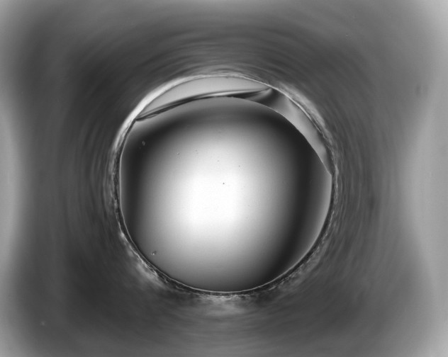 X0000087510816200704271121