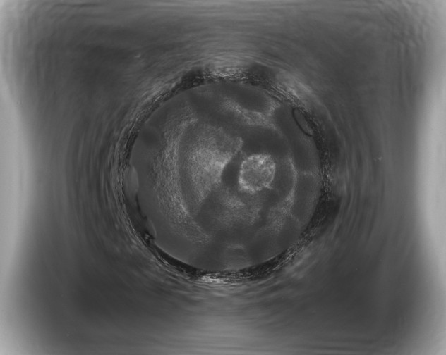 X0000087510817200704271121