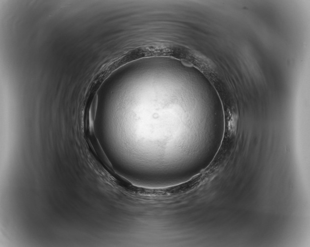X0000087510819200704271121