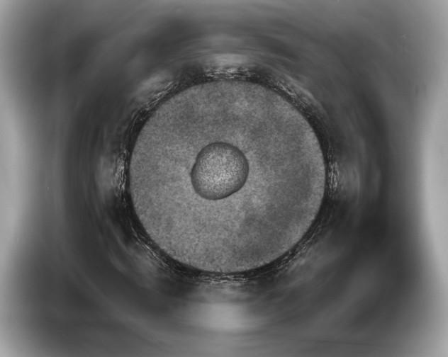 X0000087510820200704271121