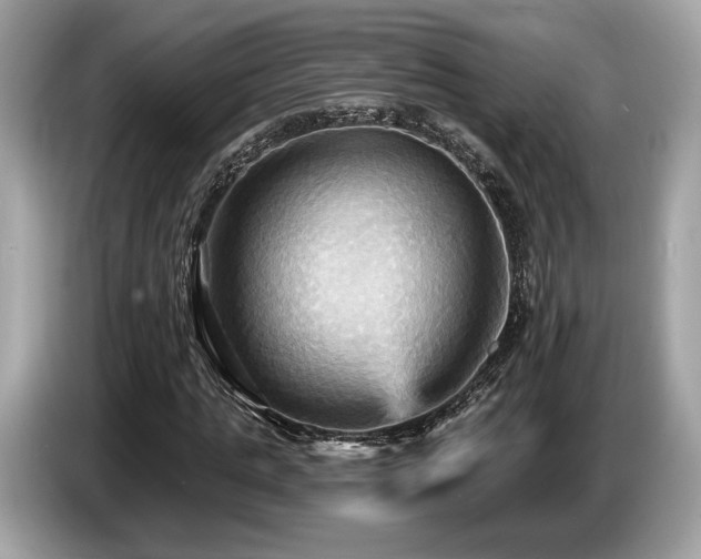 X0000087510821200704271121