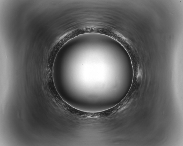 X0000087510822200704271121