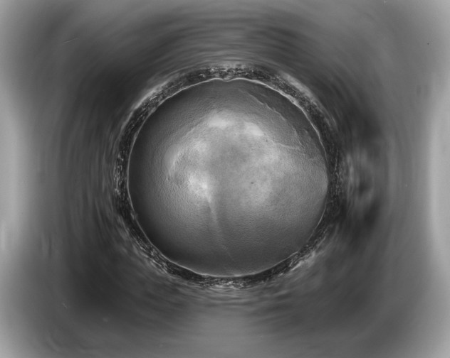 X0000087510823200704271121