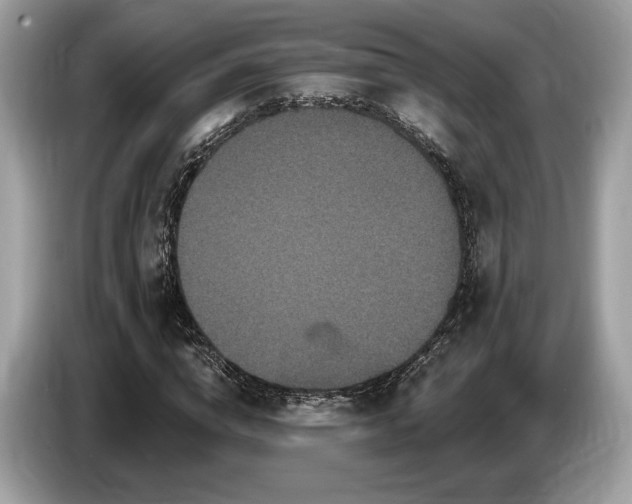 X0000087510824200704271121
