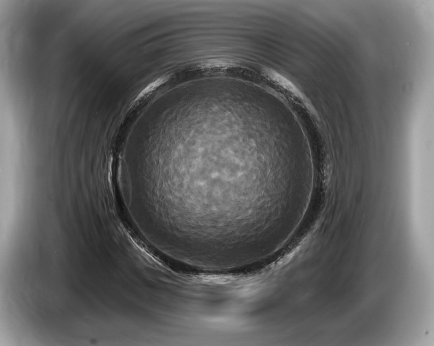 X0000087510825200704271121