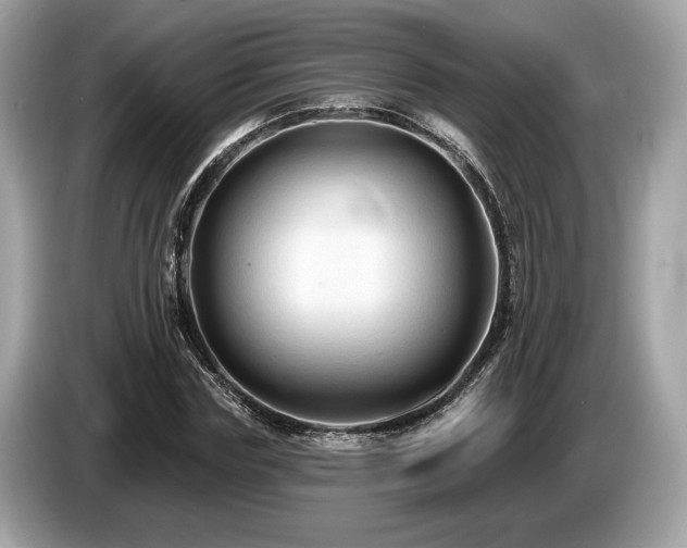 X0000087510827200704271121