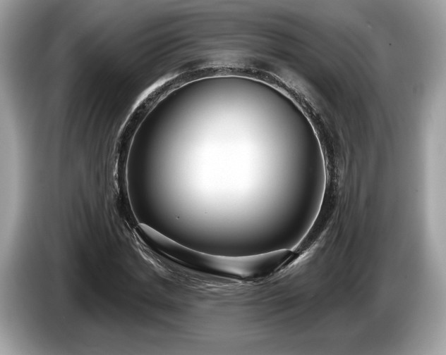 X0000087510830200704271121