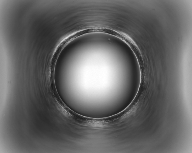 X0000087510831200704271121