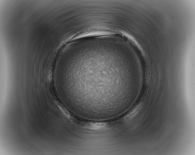 X0000087510833200704271121