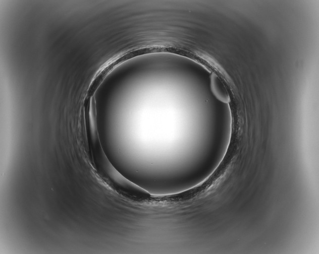 X0000087510834200704271121