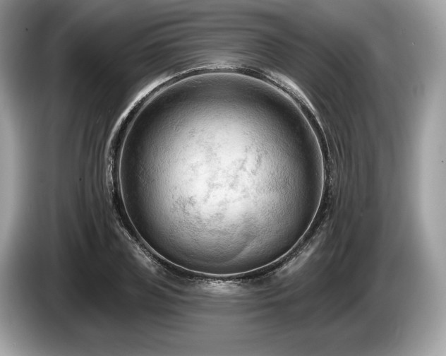 X0000087510835200704271121