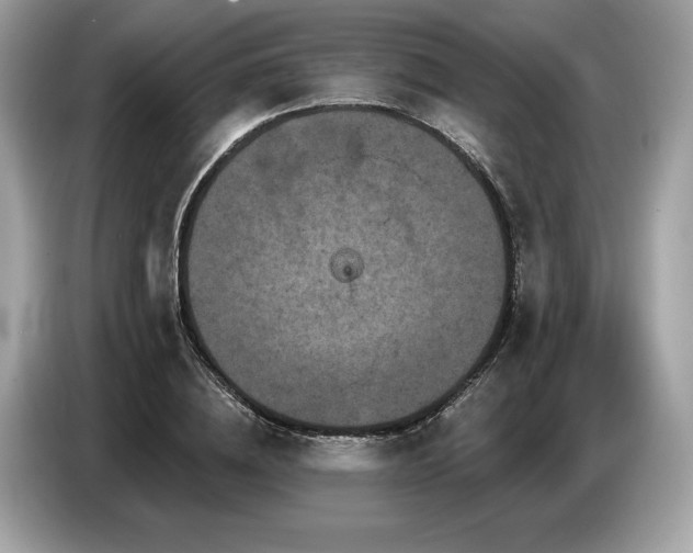 X0000087510836200704271121