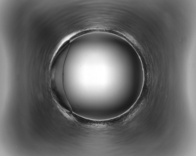 X0000087510838200704271121