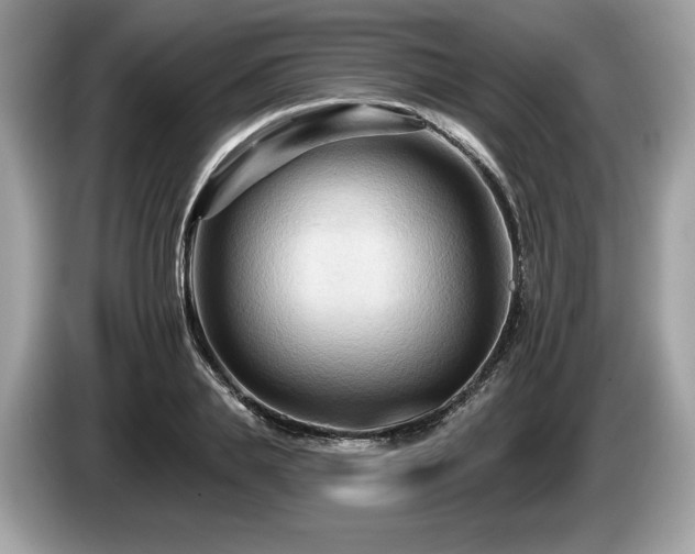 X0000087510839200704271121