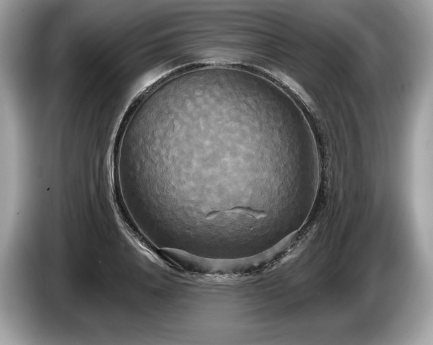 X0000087510840200704271121