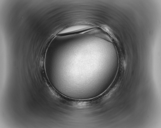 X0000087510841200704271121