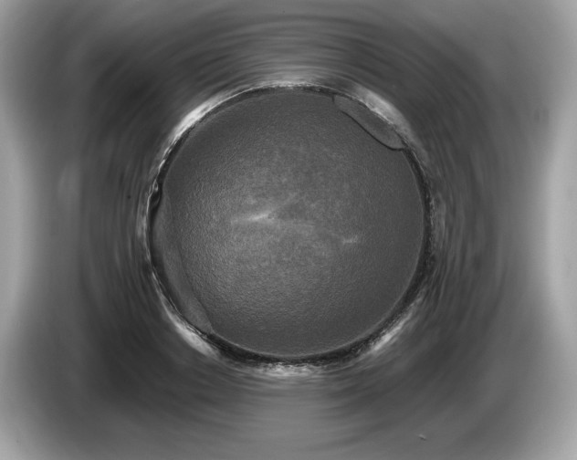 X0000087510842200704271121