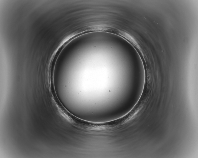 X0000087510843200704271121