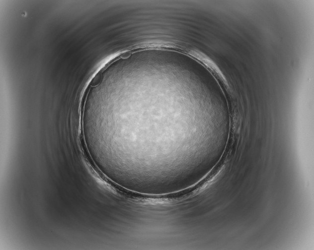 X0000087510844200704271121