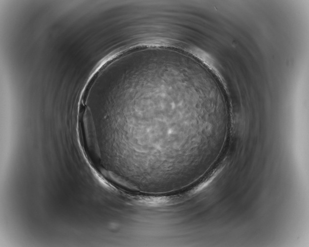 X0000087510845200704271121