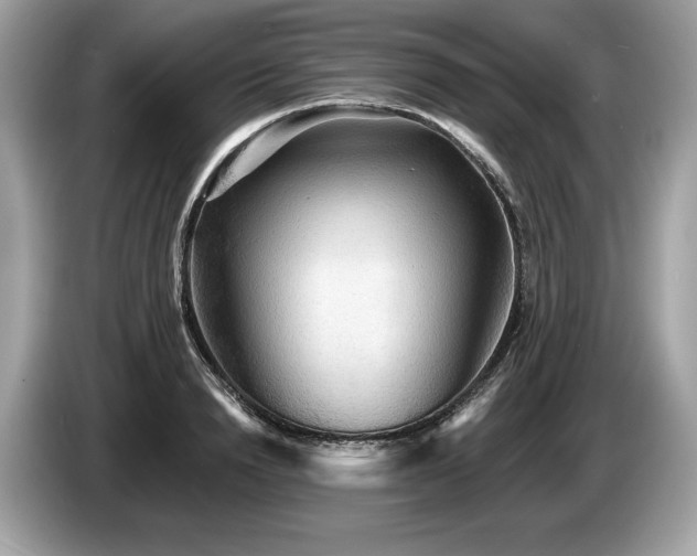 X0000087510846200704271121