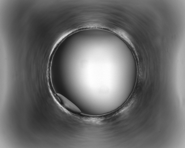 X0000087510847200704271121