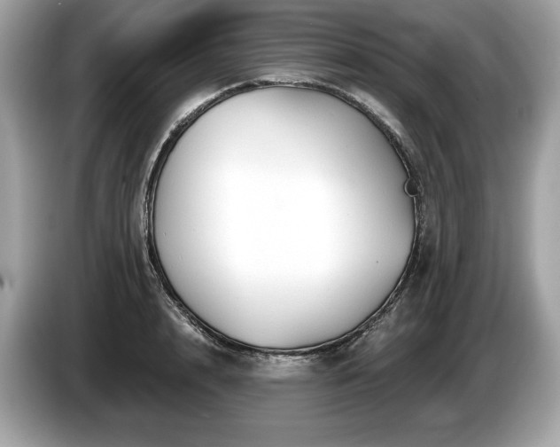 X0000087510848200704271121