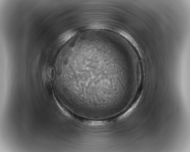 X0000087510849200704271121