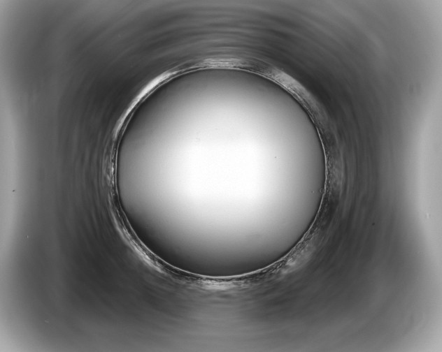 X0000087510852200704271121