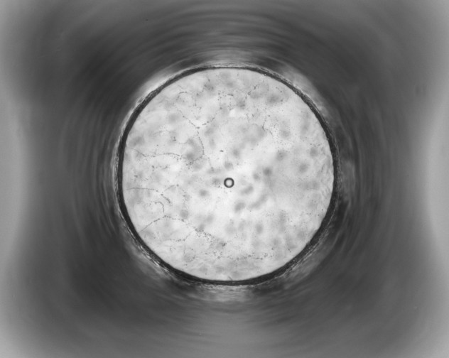 X0000087510856200704271121