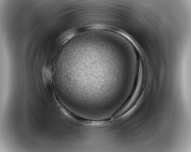 X0000087510857200704271121