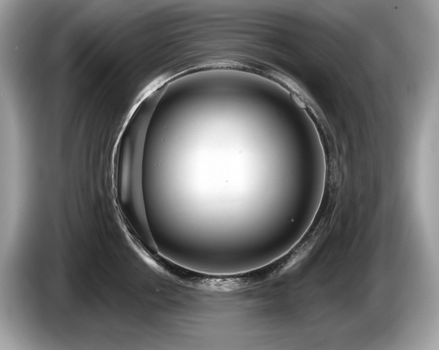 X0000087510858200704271121