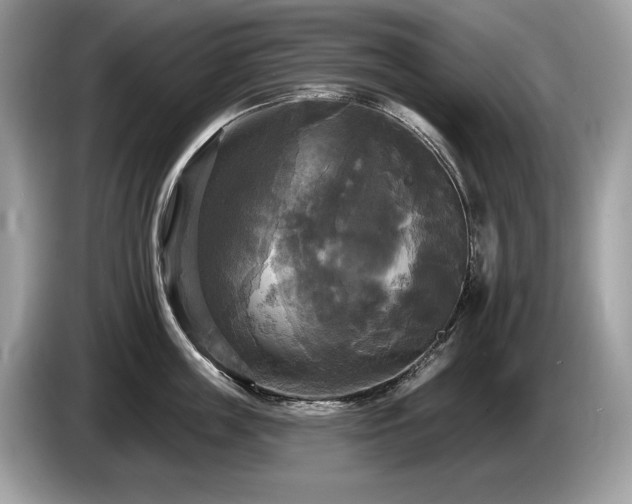 X0000087510859200704271121