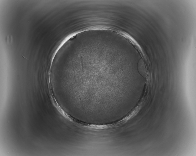 X0000087510860200704271121