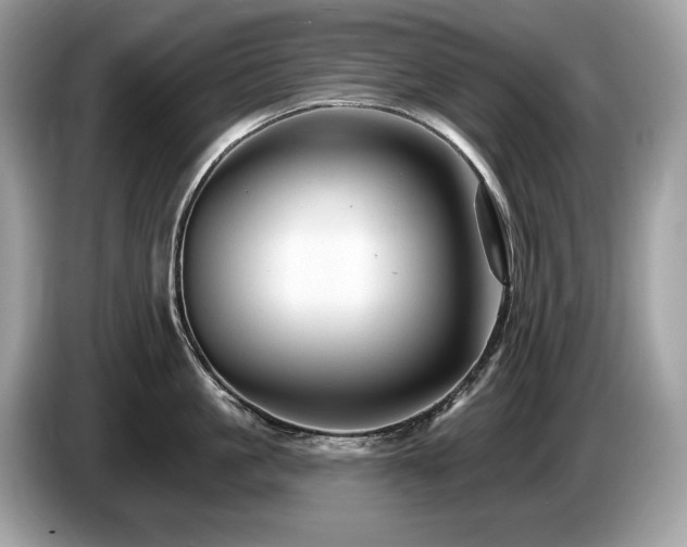 X0000087510861200704271121